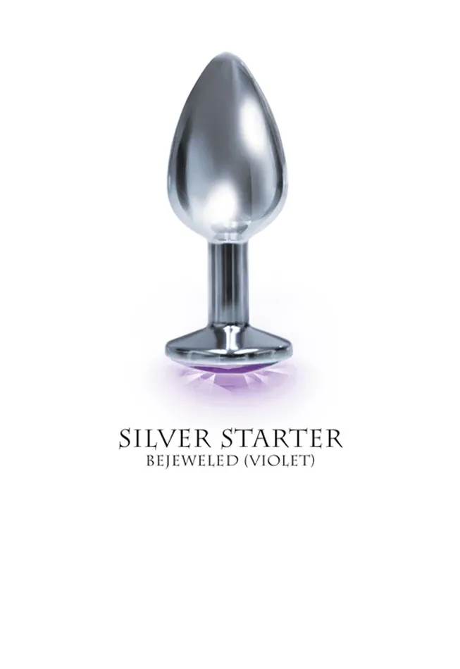 Icon Brands Anal Silver Starter Violet Round Jewel