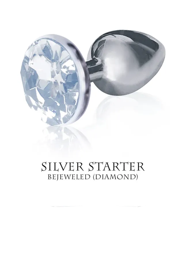 Icon Brands Anal Silver Starter Violet Round Jewel
