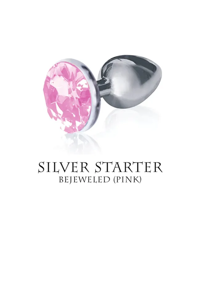 Icon Brands Anal Silver Starter Violet Round Jewel