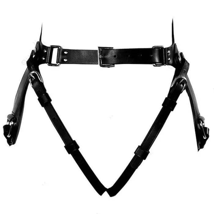 House of Dasein Couples Pet Play Saddle Harness Pony Pet Roleplay Horse Bondage Kink Bdsm Fetish Restraints