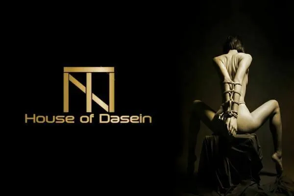 House of Dasein Paddles Bdsm Novelty Spanking Cat Paddle Lace Up Handle Kitten Kink Fetish Couples