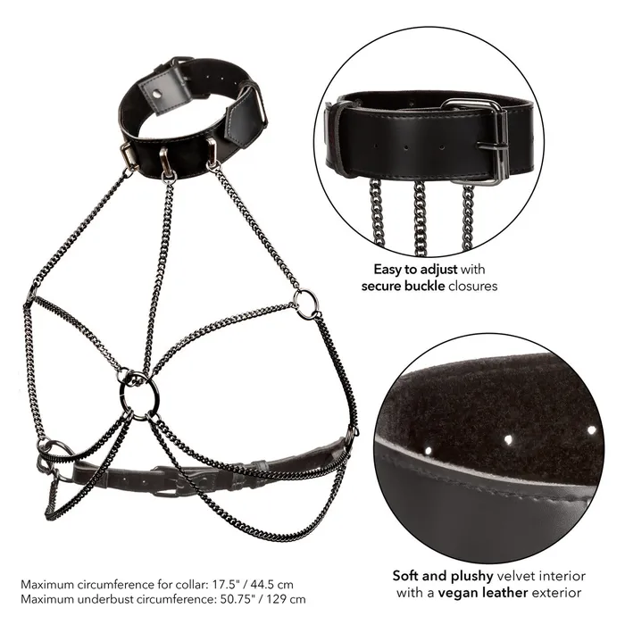 EUPHORIA MULTI CHAIN COLLAR HARNESS PLUS SIZE CALEXOTICS Plus Size