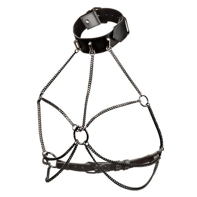 EUPHORIA MULTI CHAIN COLLAR HARNESS PLUS SIZE CALEXOTICS Plus Size